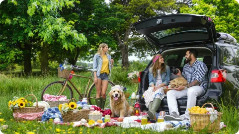 ต้นฉบับ